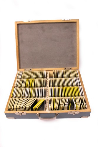193 tlg set - dias, dresden
