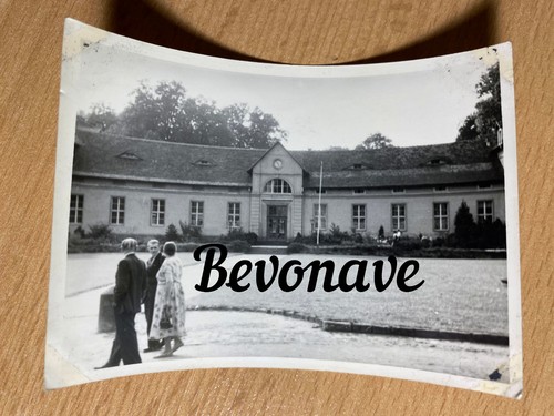 Foto schloss und park pillnitz - foto,