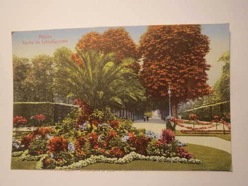 Pillnitz partie am - pillnitz,