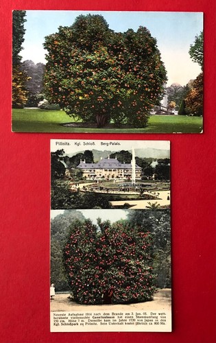 Pillnitz bei dresden um - x,